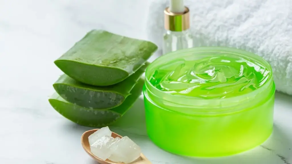 Babosa na pele pode ser um perigo se você não tirar o veneno da folha antes de usar